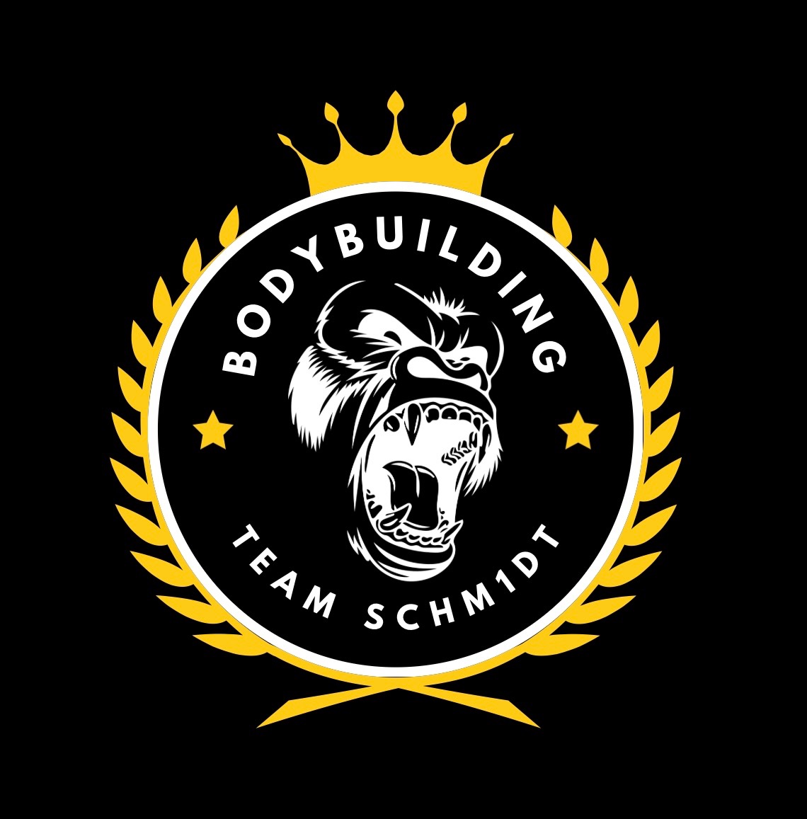 Team Schmidt Logo